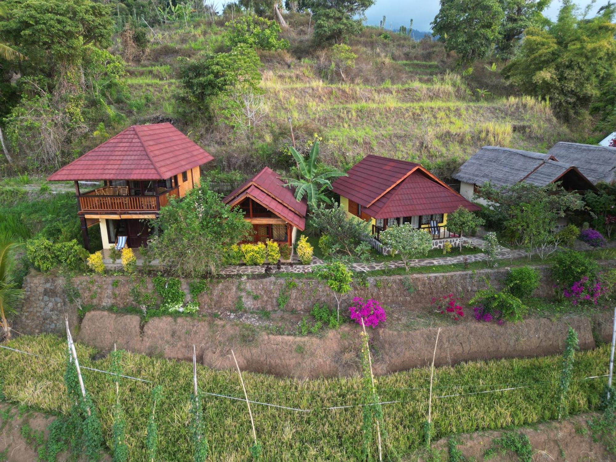 Rinjani Mountain Garden Hotel Bayan Kültér fotó