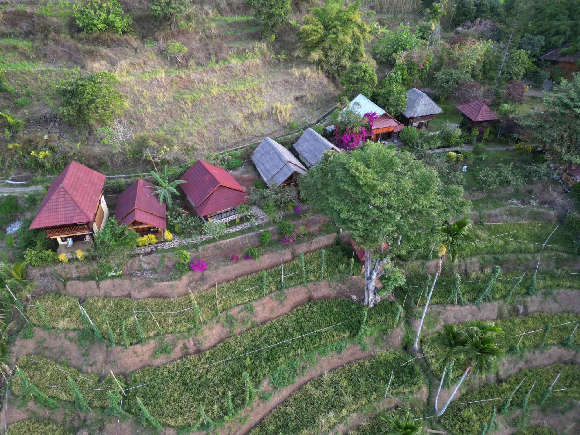 Rinjani Mountain Garden Hotel Bayan Kültér fotó